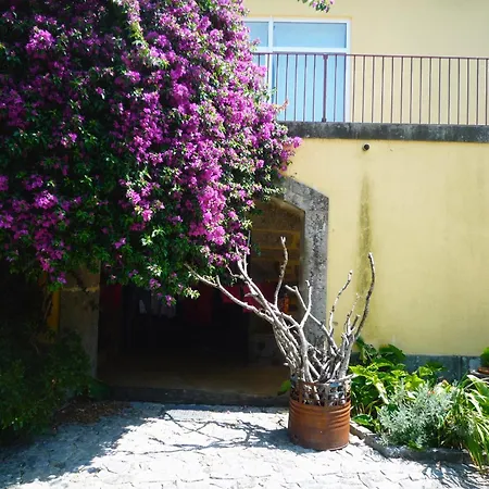 Casa Magnolia *