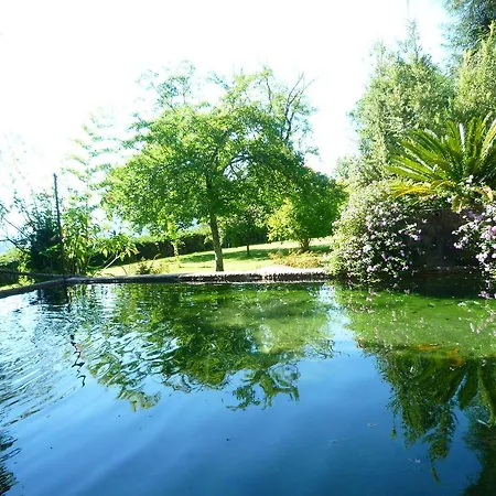 Casa Magnólia * Braga