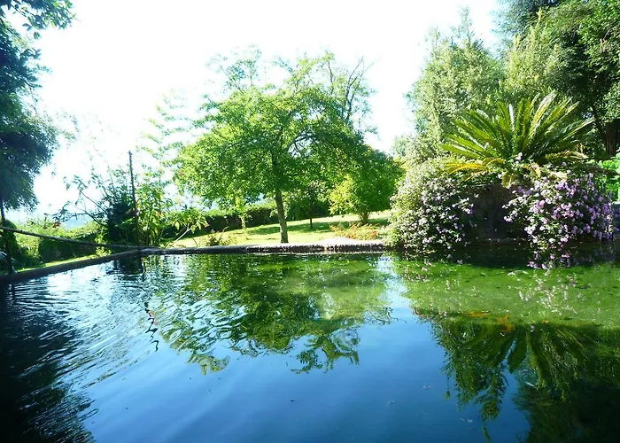 Casa Magnolia * 브라가