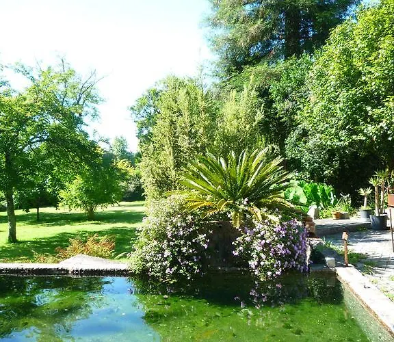 Casa Magnolia 펜션 *